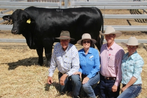 I count myself to be extremely fortunate to be able to share the success of Telpara Hills with my family.  The sale of Telpara Hills Van Damme 541H30 fir $110,000 to the Burston family was an absolute hightlight.